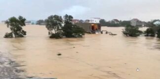 वियतनाम में चक्रवाती तूफान काजिकी ने भारी तबाही मचाई है।