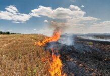 पंजाब में खेतों में पराली जलाते किसान, बढ़ते प्रदूषण से धुएं से ढके गांव और आसमान का दृश्य