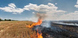 पंजाब में दो दिन में 107 पराली जलाने के नए मामले दर्ज, कुल संख्या पहुंची 415 — क्या इस बार सरकार रोक पाएगी प्रदूषण संकट? पंजाब में खेतों में पराली जलाते किसान, बढ़ते प्रदूषण से धुएं से ढके गांव और आसमान का दृश्य