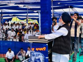 ‘तख्त बदल दो-ताज बदल दो’ महा रैली में उमड़ा जनसैलाब | डॉ. करीमपुरी बोले - 2027 में बसपा बनाएगी पंजाब में सरकार | BSP Punjab Rally News