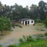 भारत के तमिलनाडु और आंध्र प्रदेश तट की ओर बढ़ते चक्रवाती तूफान 'दितवाह' की उपग्रह (सैटेलाइट) तस्वीर।