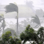 भारत के तमिलनाडु और आंध्र प्रदेश तट की ओर बढ़ते चक्रवाती तूफान 'दितवाह' की उपग्रह (सैटेलाइट) तस्वीर।