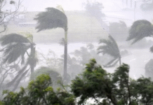 भारत के तमिलनाडु और आंध्र प्रदेश तट की ओर बढ़ते चक्रवाती तूफान 'दितवाह' की उपग्रह (सैटेलाइट) तस्वीर।