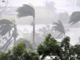 भारत के तमिलनाडु और आंध्र प्रदेश तट की ओर बढ़ते चक्रवाती तूफान 'दितवाह' की उपग्रह (सैटेलाइट) तस्वीर।