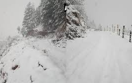उत्तर भारत में बर्फबारी का तांडव: हिमाचल और डोडा में 560 से ज्यादा सड़कें बंद,