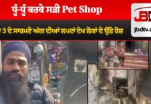 ਧੂੰ-ਧੂੰ ਕਰਕੇ ਸੜੀ Pet Shop; ਥਾਣਾ 3 ਦੇ ਸਾਹਮਣੇ ਅੱਗ ਦੀਆਂ ਲਪਟਾਂ ਦੇਖ ਲੋਕਾਂ ਦੇ ਉੱਡੇ ਹੋਸ਼