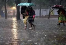 "Rain and storm alert in Punjab, Dark clouds over fields in Punjab, IMD Orange Alert Weather Punjab"