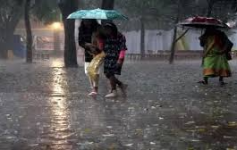 "Rain and storm alert in Punjab, Dark clouds over fields in Punjab, IMD Orange Alert Weather Punjab"